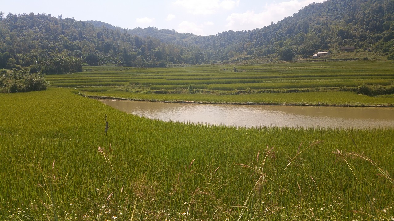 Reisterrassen, Wasser und dann Staub in Dong Dang